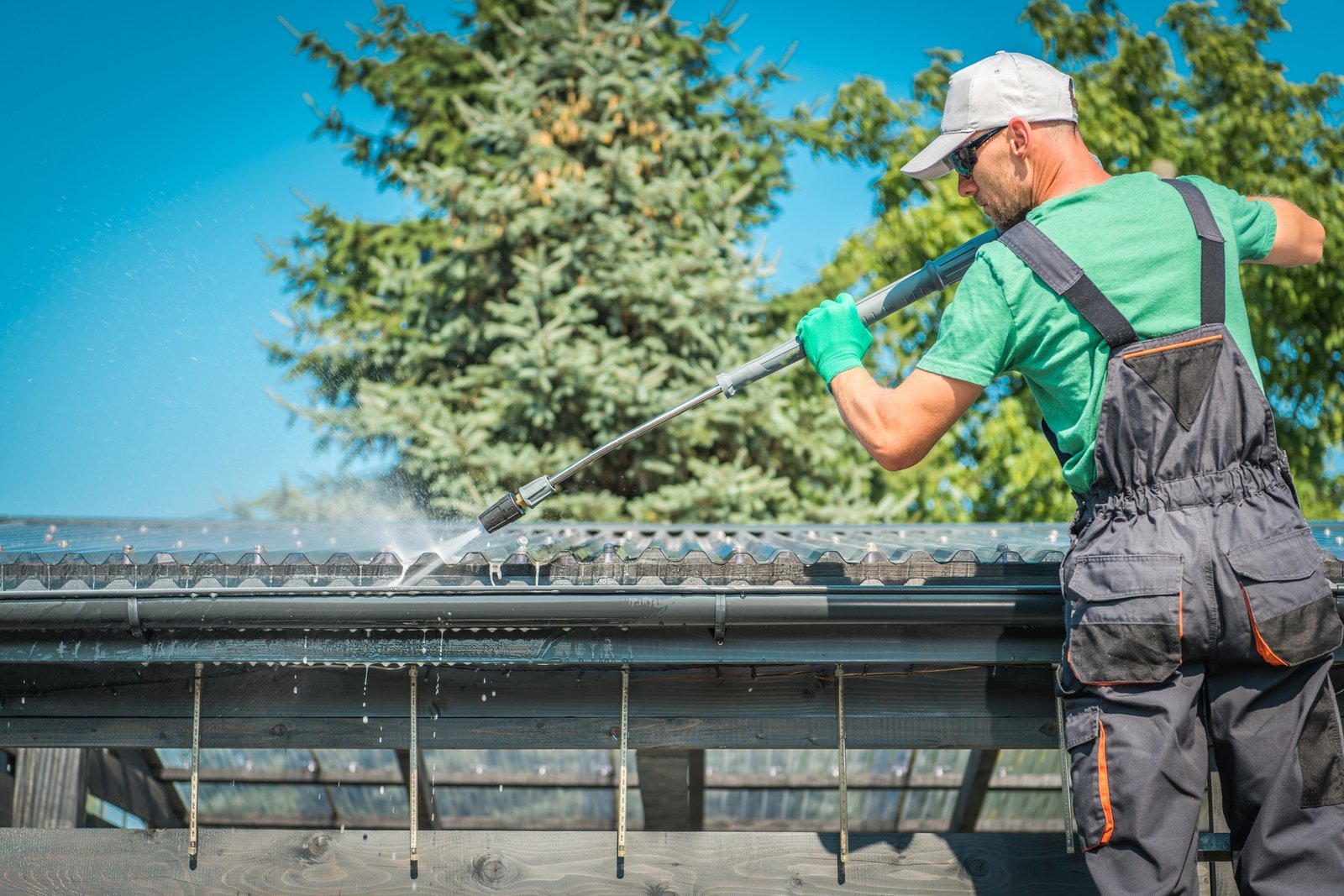 Roof & Gutter Cleaning